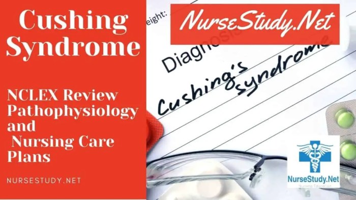 Cushing syndrome nursing care plan