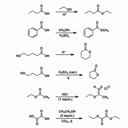 Carboxylic acids and esters lab report answers