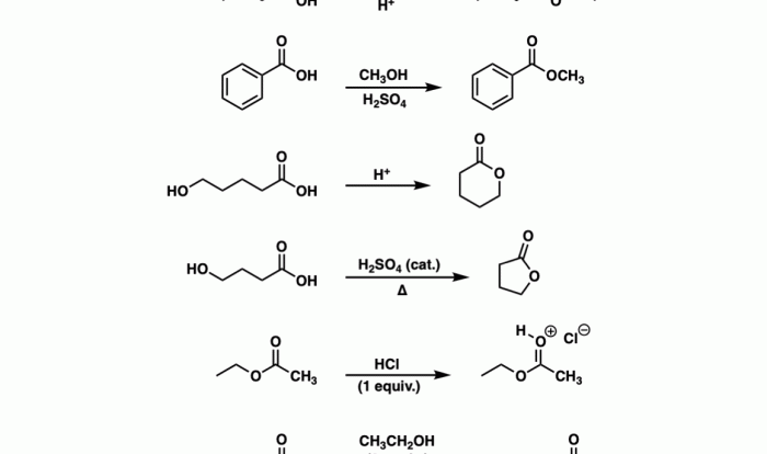 Carboxylic acids and esters lab report answers