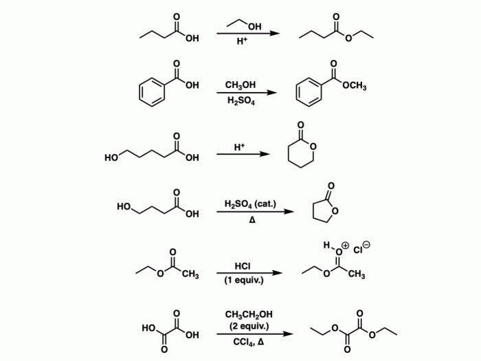 Carboxylic acids and esters lab report answers