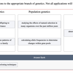 Match the current applications to the appropriate branch of genetics